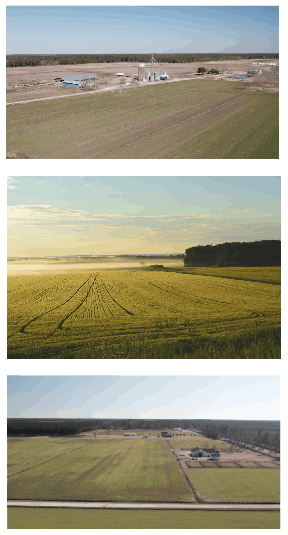 Agriculture